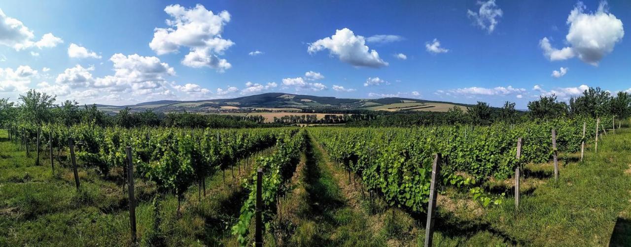 Penzion V Rodinnem Vinarstvi Kadubcovi Lipov Exterior foto